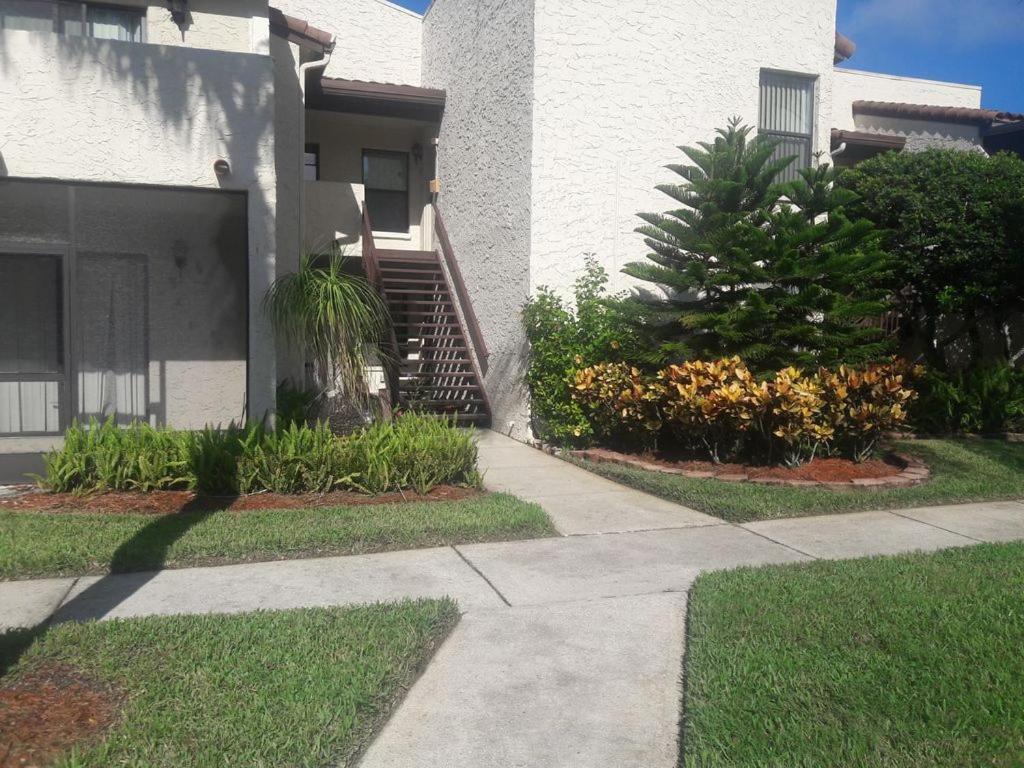 Florida Condos On Lake Tarpon Palm Harbor Exterior foto